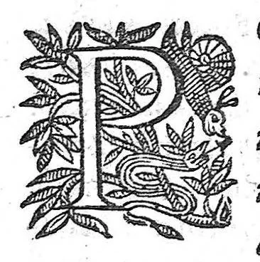 An illustration from Medicina practica - liber tertius, 1633, leaf 1227