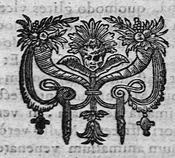 An illustration from Medicina practica - liber sextus, 1636, leaf 590