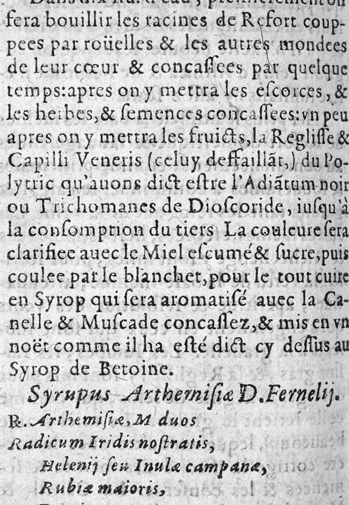 An illustration from Paraphrase sur la pharmacopee. Divisee en deux livres, par M. Brice Bauderon, Docteur en Medecine, de Parey en Charoloys, à present demeurant à Mascon. L’argument mis apres l’Epistre declare tout le contenu. Avec une Table des matieres y traictees. Edition seconde, Reveuë, corrigee et augmentee par l’autheur mesme, 1596, leaf 165