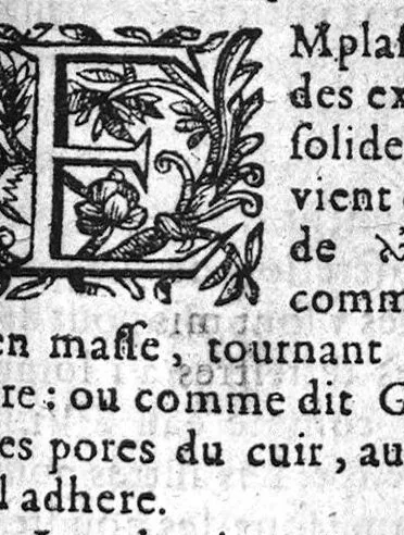 An illustration from Paraphrase sur la pharmacopee. Divisee en deux livres, par M. Brice Bauderon, Docteur en Medecine, de Parey en Charoloys, à present demeurant à Mascon. L’argument mis apres l’Epistre declare tout le contenu. Avec une Table des matieres y traictees. Edition seconde, Reveuë, corrigee et augmentee par l’autheur mesme, 1596, leaf 728