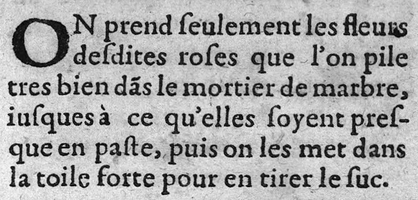 An illustration from Le medecin charitable enseignant la maniere de faire et preparer en la maison,...les remedes propres a toutes maladies..., 1626, leaf 106