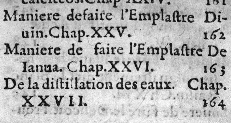 An illustration from Le medecin charitable enseignant la maniere de faire et preparer en la maison,...les remedes propres a toutes maladies..., 1626, leaf 91