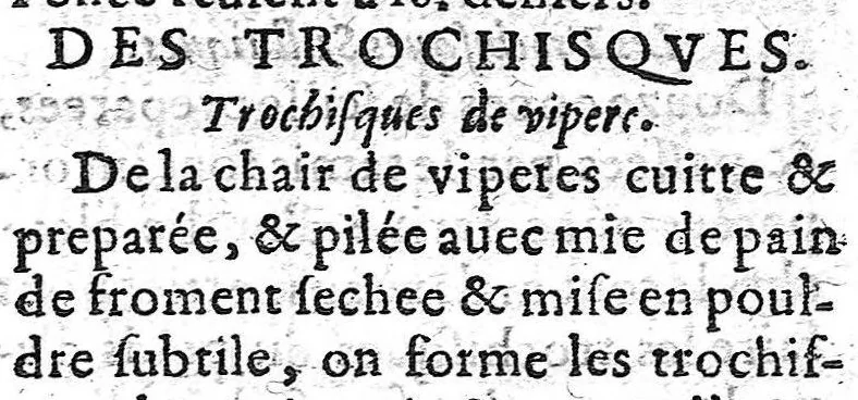 An illustration from Les oeuvres charitables, 1627, leaf 176
