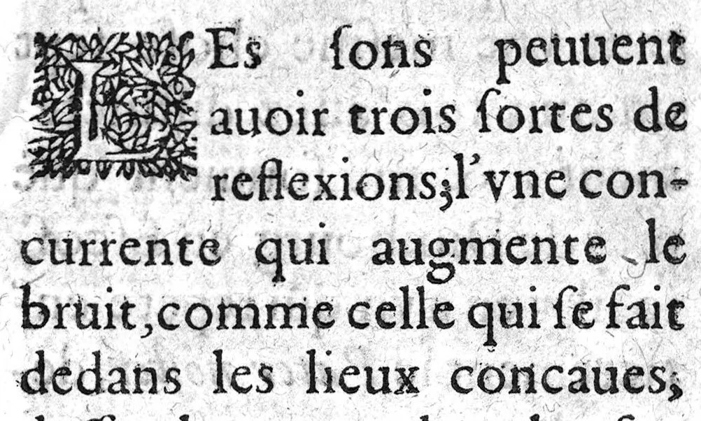 An illustration from Histoire naturelle..., 1631, leaf 162