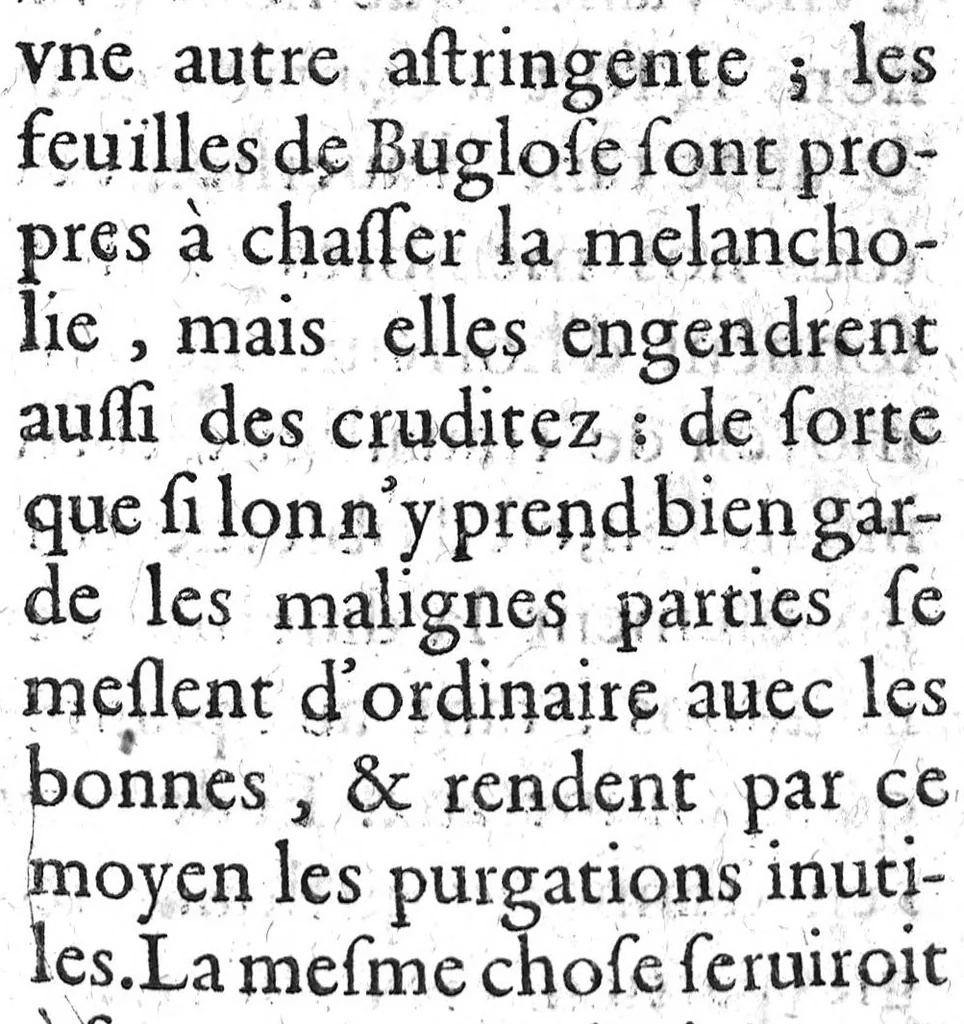An illustration from Histoire naturelle..., 1631, leaf 228