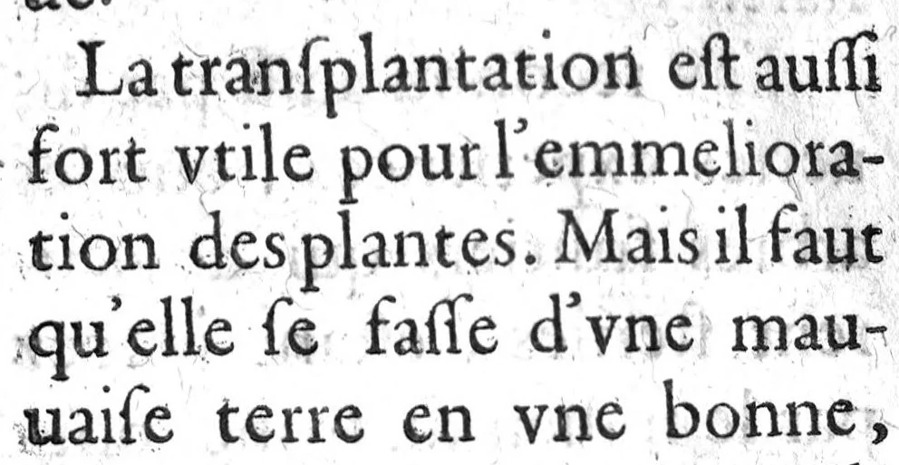 An illustration from Histoire naturelle..., 1631, leaf 261