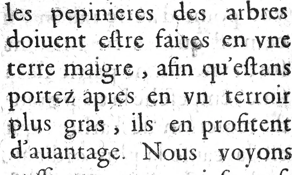 An illustration from Histoire naturelle..., 1631, leaf 261