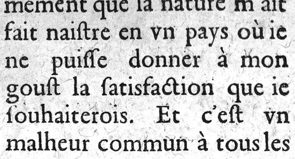 An illustration from Histoire naturelle..., 1631, leaf 304