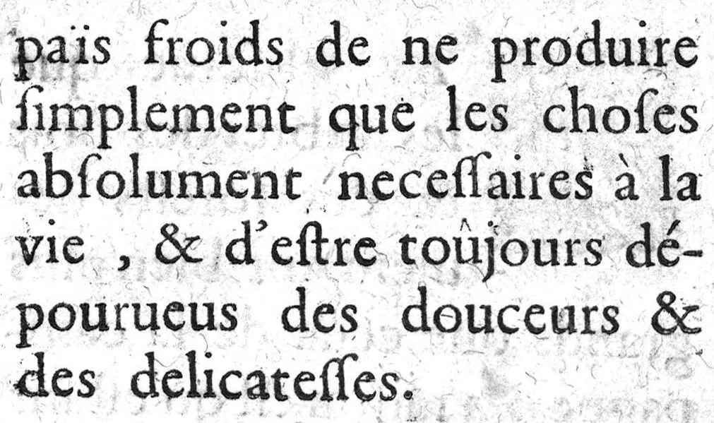 An illustration from Histoire naturelle..., 1631, leaf 304