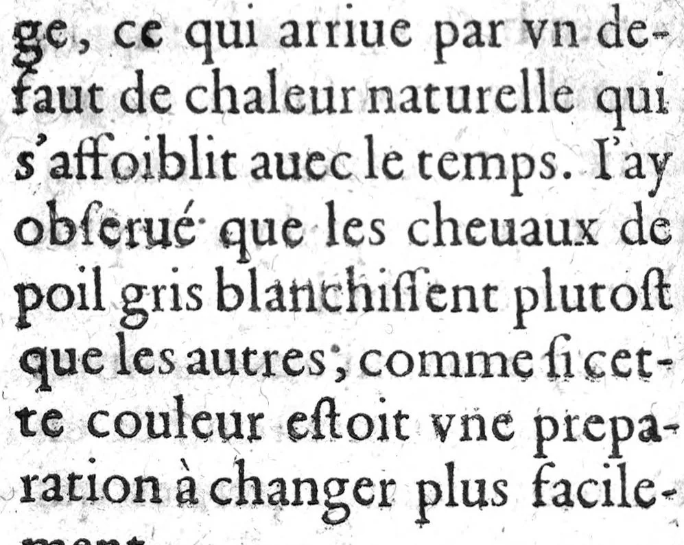 An illustration from Histoire naturelle..., 1631, leaf 427