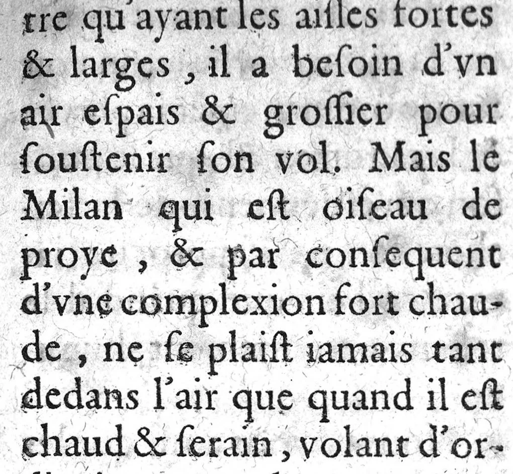An illustration from Histoire naturelle..., 1631, leaf 454