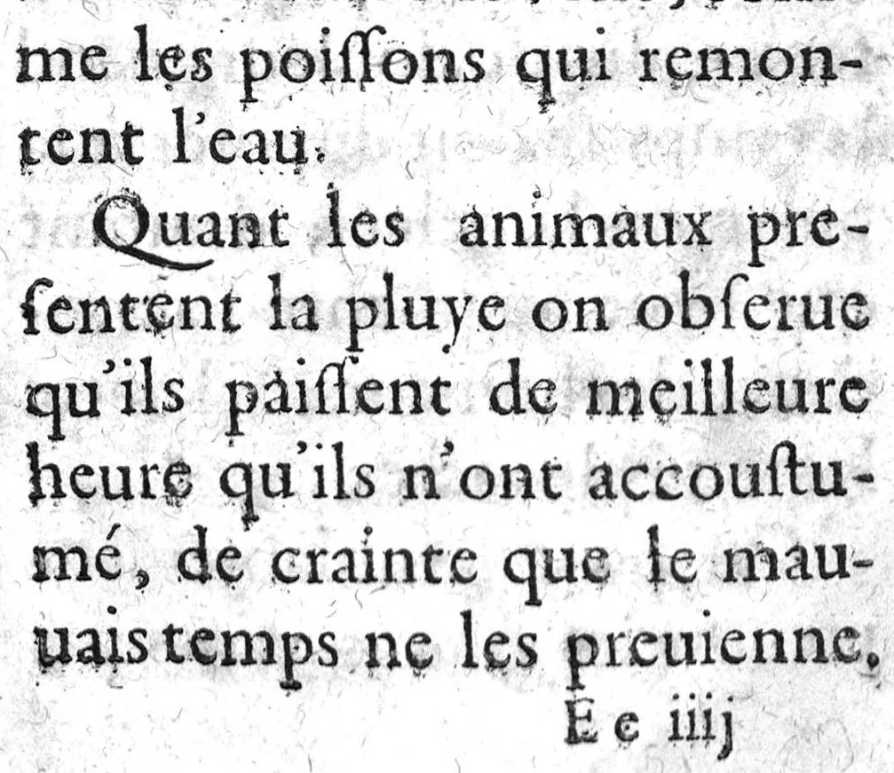 An illustration from Histoire naturelle..., 1631, leaf 454