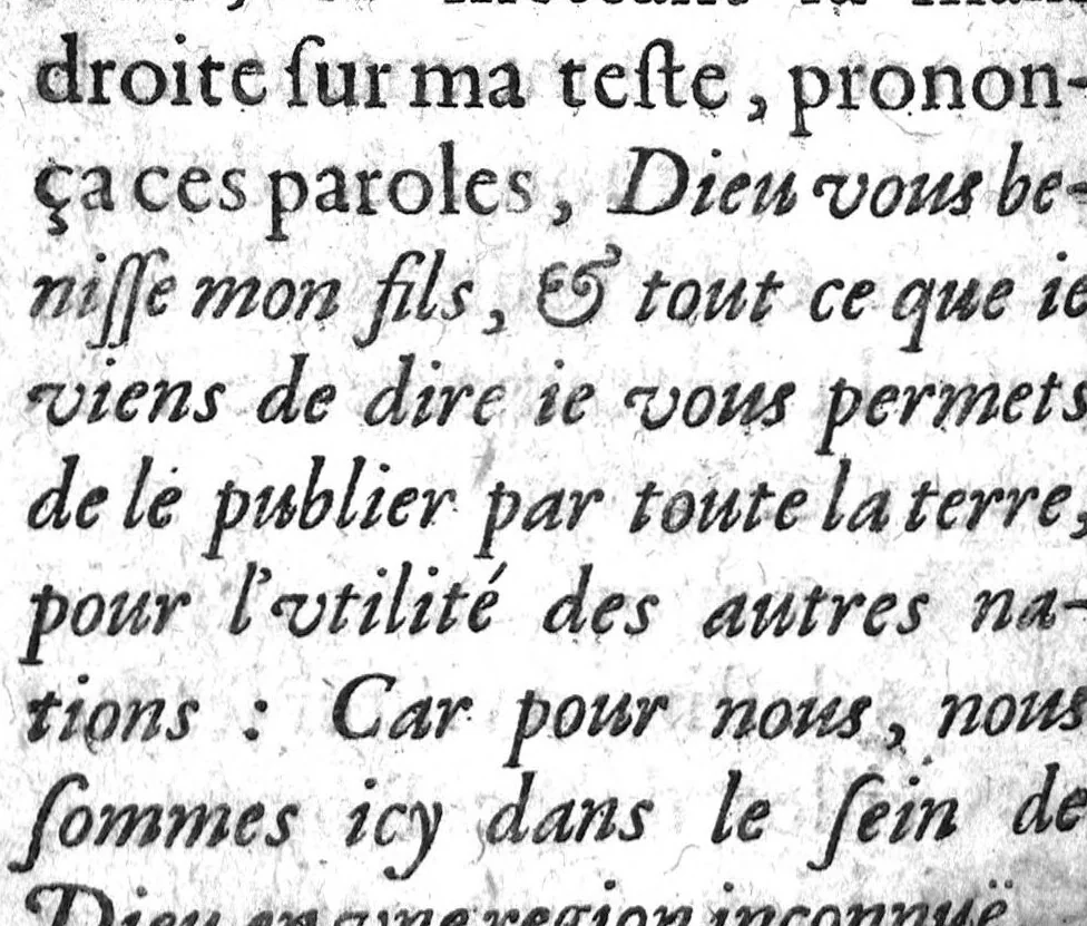 An illustration from Histoire naturelle..., 1631, leaf 613
