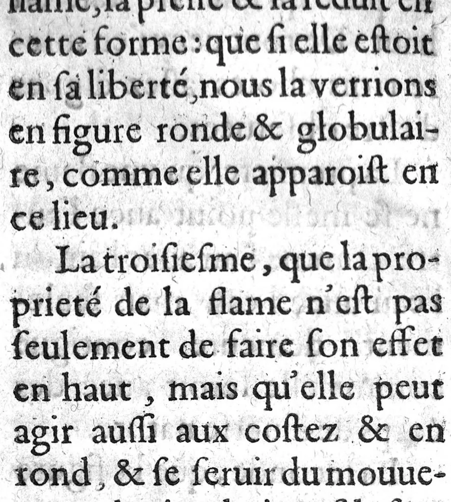 An illustration from Histoire naturelle..., 1631, leaf 77