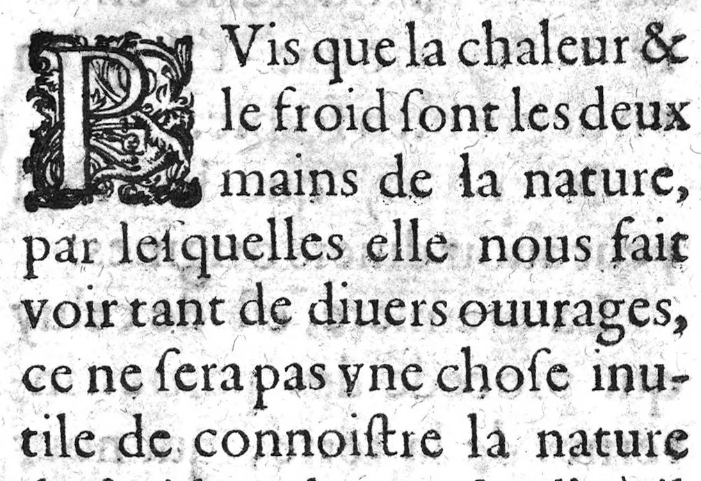 An illustration from Histoire naturelle..., 1631, leaf 90