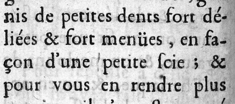 An illustration from Recherches et observations sur les vipères, 1671, leaf 61