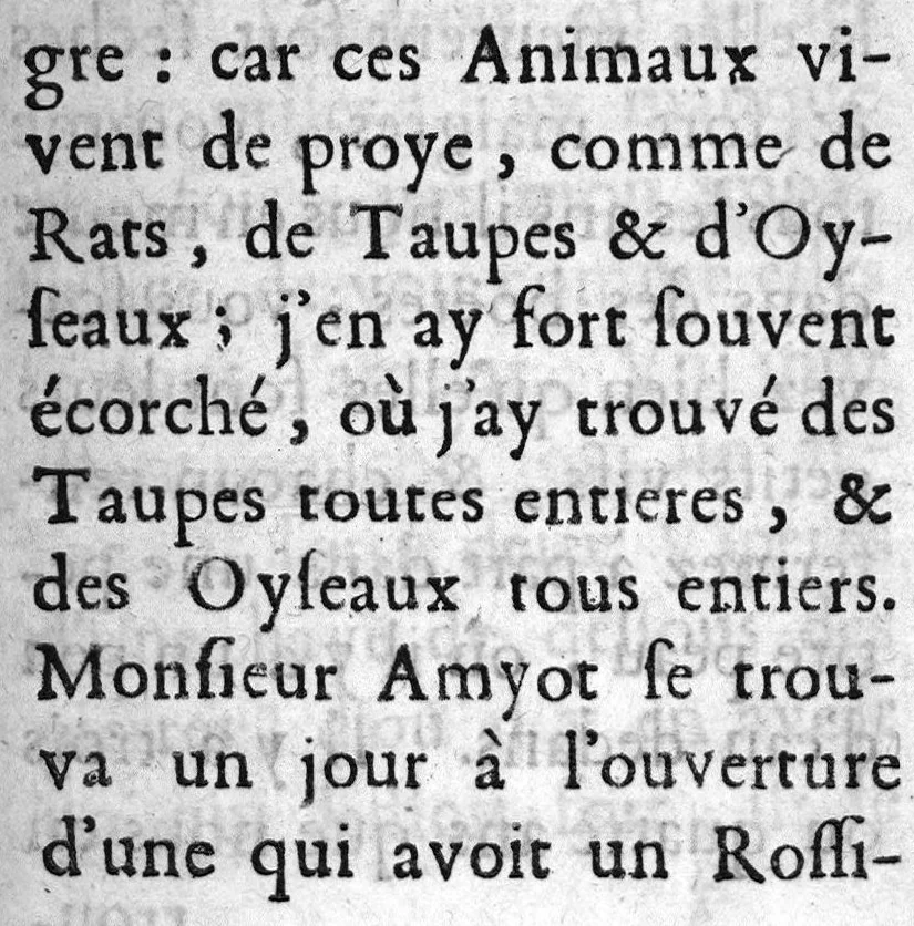 An illustration from Recherches et observations sur les vipères, 1671, leaf 62