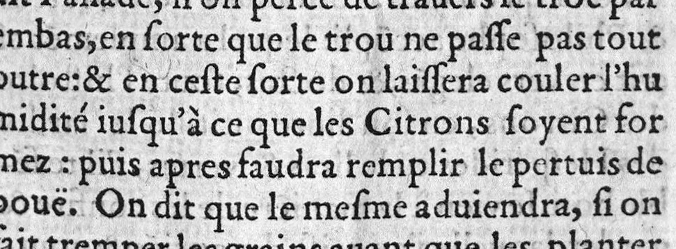 An illustration from Le Jardinage d’Antoine Mizauld medecin. Contenant la maniere d’embellir les jardins, les preserver de toute vermine, et en tirer remedes propres aux maladies des hommes. Item, comme il faut enter les Arbres, et les rendre medicinaux. Mis en François pour faire que le profit qu’on en peut tirere soit commun à chacun, 1578, leaf 268