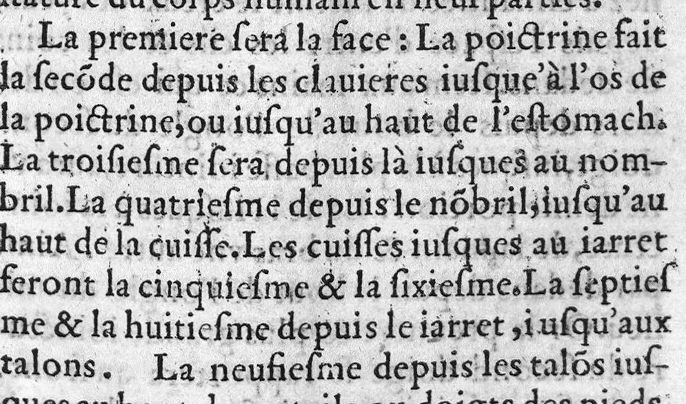 An illustration from Le Jardinage d’Antoine Mizauld medecin. Contenant la maniere d’embellir les jardins, les preserver de toute vermine, et en tirer remedes propres aux maladies des hommes. Item, comme il faut enter les Arbres, et les rendre medicinaux. Mis en François pour faire que le profit qu’on en peut tirere soit commun à chacun, 1578, leaf 354