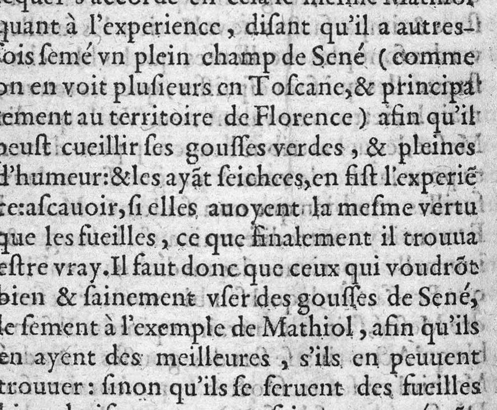 An illustration from Le Jardinage d’Antoine Mizauld medecin. Contenant la maniere d’embellir les jardins, les preserver de toute vermine, et en tirer remedes propres aux maladies des hommes. Item, comme il faut enter les Arbres, et les rendre medicinaux. Mis en François pour faire que le profit qu’on en peut tirere soit commun à chacun, 1578, leaf 395