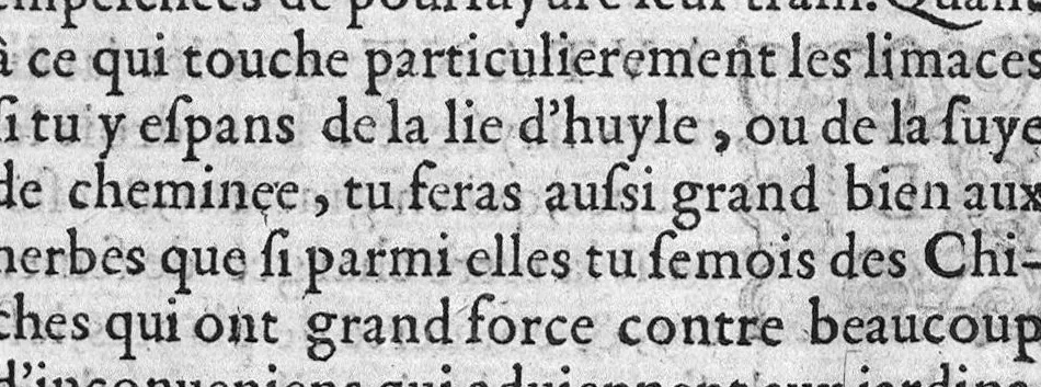 An illustration from Le Jardinage d’Antoine Mizauld medecin. Contenant la maniere d’embellir les jardins, les preserver de toute vermine, et en tirer remedes propres aux maladies des hommes. Item, comme il faut enter les Arbres, et les rendre medicinaux. Mis en François pour faire que le profit qu’on en peut tirere soit commun à chacun, 1578, leaf 50