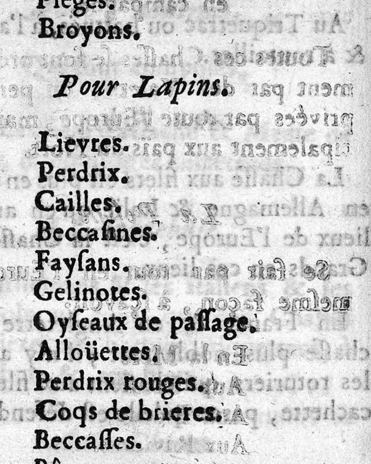 An illustration from Le Parfait Chasseur. Pour l'Instruction des personnes de qualité ou autres qui aiment la Chasse, pour se rendre capables de cet Exercice, apprendre aux Veneurs, Picqueurs, Fauconniers, & Valets de Chiens à servir dans les grands Equipages ... Par Mr De Selincourt, 1683, leaf 21