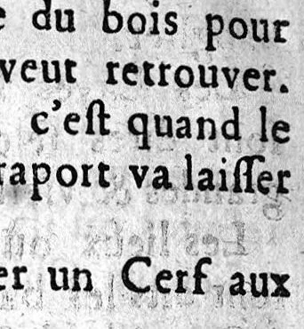 An illustration from Le Parfait Chasseur. Pour l'Instruction des personnes de qualité ou autres qui aiment la Chasse, pour se rendre capables de cet Exercice, apprendre aux Veneurs, Picqueurs, Fauconniers, & Valets de Chiens à servir dans les grands Equipages ... Par Mr De Selincourt, 1683, leaf 403