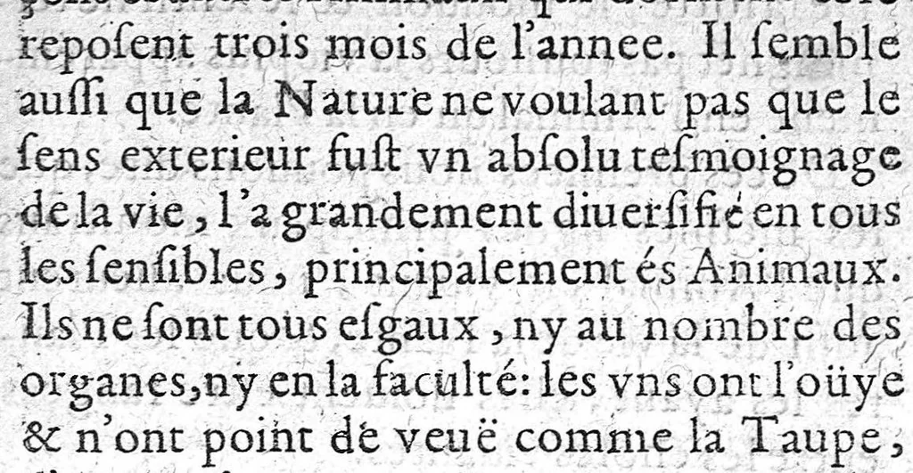 An illustration from De la Nature, vertu et utilité des plantes, divisé en 5 livres... par Guy de la Brosse,..., 1628, leaf 48