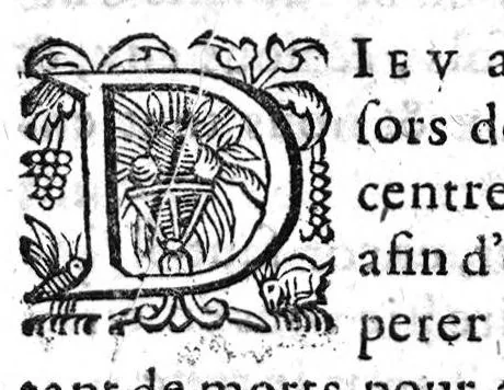 An illustration from Essay des merveilles de nature, et des plus nobles artifices,...huitiesme edition, revueue, corrigée, & augmentée par l'autheur, 1631, leaf 248