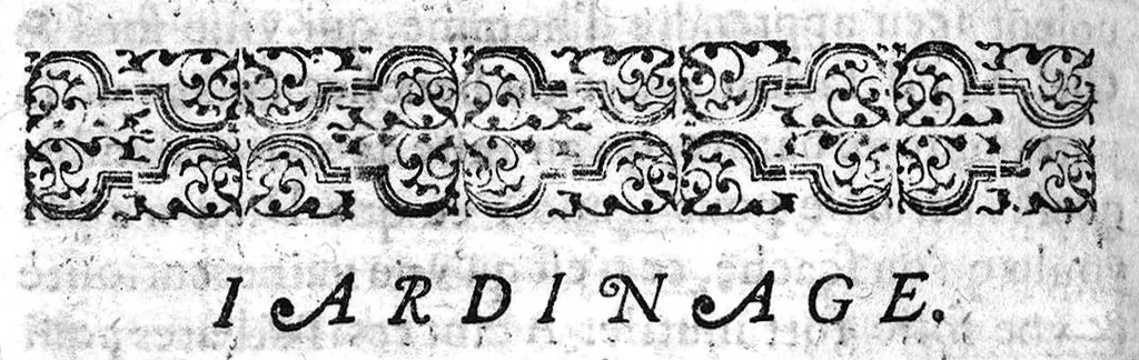 An illustration from Essay des merveilles de nature, et des plus nobles artifices,...huitiesme edition, revueue, corrigée, & augmentée par l'autheur, 1631, leaf 293