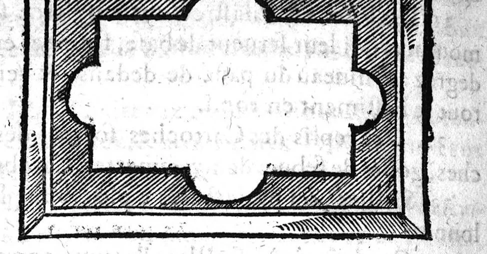 An illustration from Essay des merveilles de nature, et des plus nobles artifices,...huitiesme edition, revueue, corrigée, & augmentée par l'autheur, 1631, leaf 465