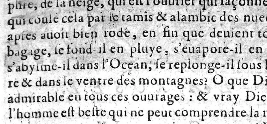 An illustration from Essay des merveilles de nature, et des plus nobles artifices,...huitiesme edition, revueue, corrigée, & augmentée par l'autheur, 1631, leaf 614