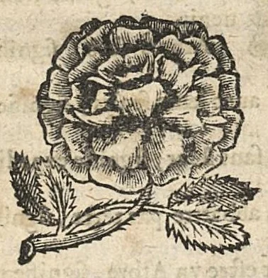 An illustration from Le palais des curieux ou l'algebre et le sort donnent la décision des questions les plus douteuses...nouvelle edition, 1666, leaf 176