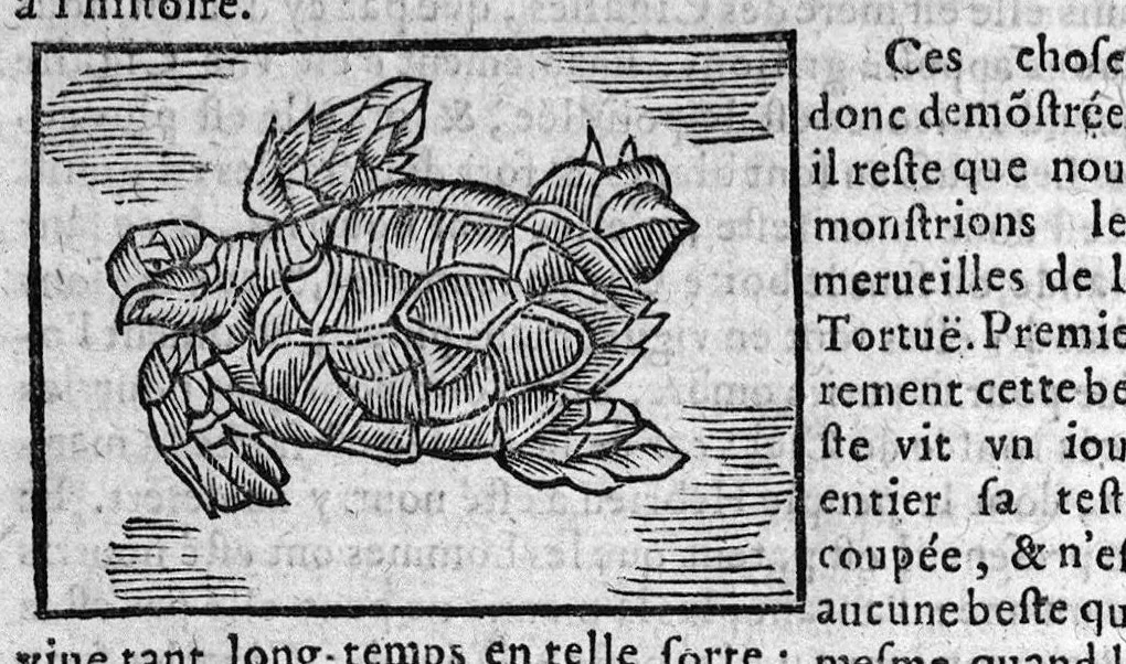 An illustration from Les livres de Hierosme Cardanus médecin Milannois, intitulez de la Subtilité, & subtiles inventions, ensemble les causes occultes et les raisons d'icelles, 1642, leaf 575