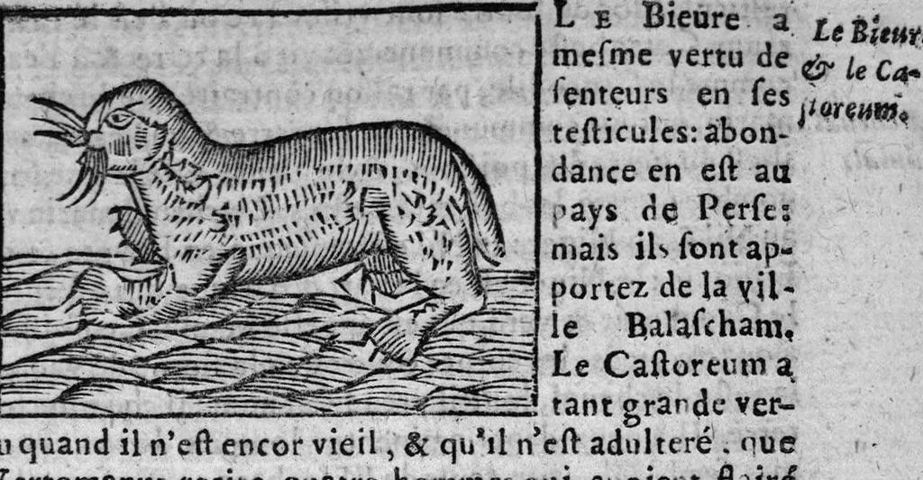 An illustration from Les livres de Hierosme Cardanus médecin Milannois, intitulez de la Subtilité, & subtiles inventions, ensemble les causes occultes et les raisons d'icelles, 1642, leaf 626