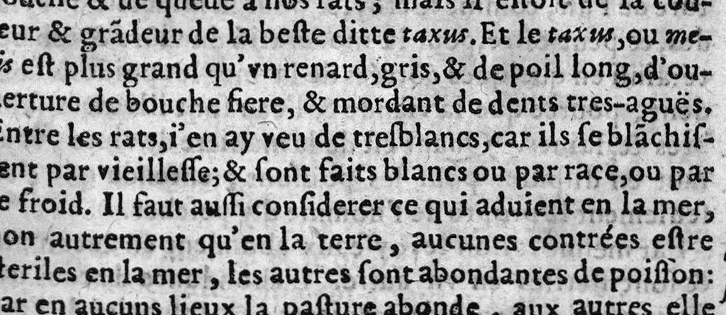 An illustration from Les livres de Hierosme Cardanus médecin Milannois, intitulez de la Subtilité, & subtiles inventions, ensemble les causes occultes et les raisons d'icelles, 1642, leaf 646