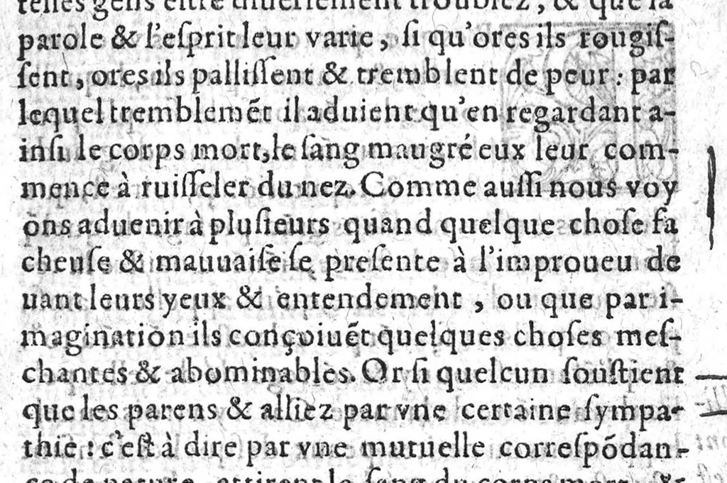 An illustration from Les occultes merveilles et secretz de nature, avec plusieurs enseignemens des choses diverses tant par raison probable que par conjecture artificielle : exposées en deux livres de non moindre plaisir que proufit au lecteur studieux. Par Levin Lemne Medecin Zirizeen, et nouvellement traduit de Latin en François, par I. G. P.. Avec deux tables, l’une des argumens des chapitres, l’autre des singulieres matieres d’iceux, 1574, leaf 266