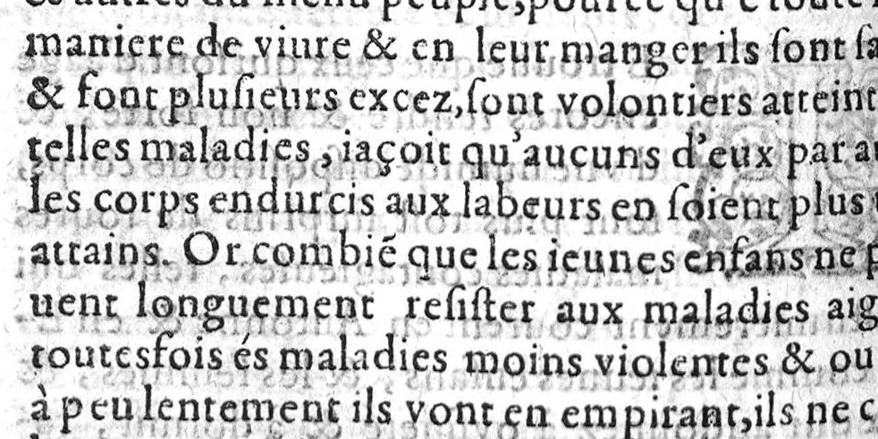 An illustration from Les occultes merveilles et secretz de nature, avec plusieurs enseignemens des choses diverses tant par raison probable que par conjecture artificielle : exposées en deux livres de non moindre plaisir que proufit au lecteur studieux. Par Levin Lemne Medecin Zirizeen, et nouvellement traduit de Latin en François, par I. G. P.. Avec deux tables, l’une des argumens des chapitres, l’autre des singulieres matieres d’iceux, 1574, leaf 405