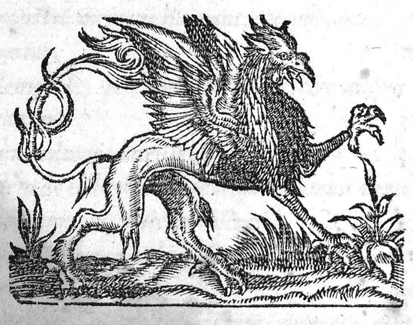 An illustration from Hieronymi Cardani medici mediolanensis liber de immortalitate animorum, 1545, leaf 317