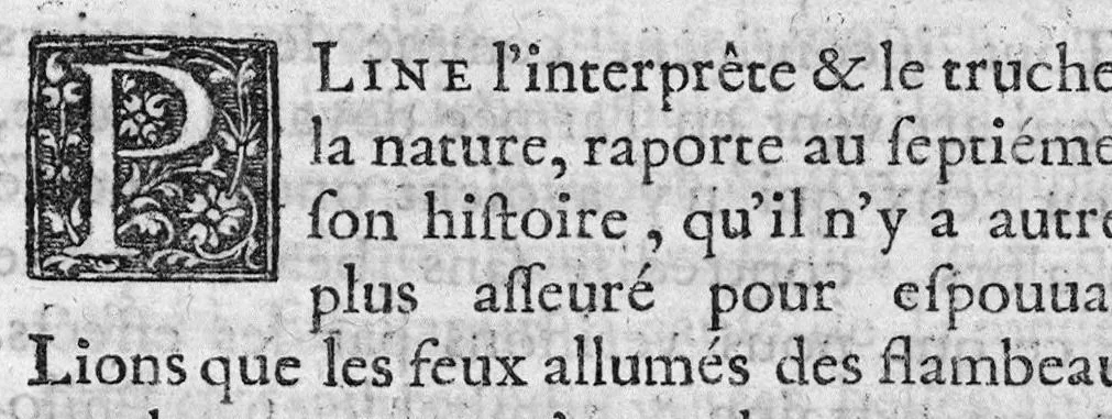 An illustration from Traité des bains de la ville d’Aix en Provence, et la maniere d’en user, par le Sr. de Castemont Medecin Espargerique, 1600, leaf 16