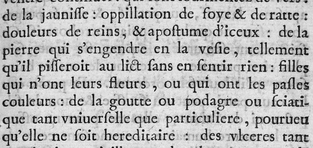 An illustration from Traité des bains de la ville d’Aix en Provence, et la maniere d’en user, par le Sr. de Castemont Medecin Espargerique, 1600, leaf 28
