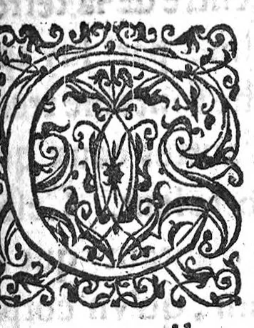 An illustration from Discours sur l'origine des fontaines de Pougues...avec une briefve instruction pour suer de ladicte eau. edition nouvelle..., 1628, leaf 12