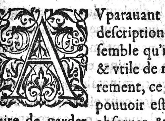 An illustration from Discours sur l'origine des fontaines de Pougues...avec une briefve instruction pour suer de ladicte eau. edition nouvelle..., 1628, leaf 4