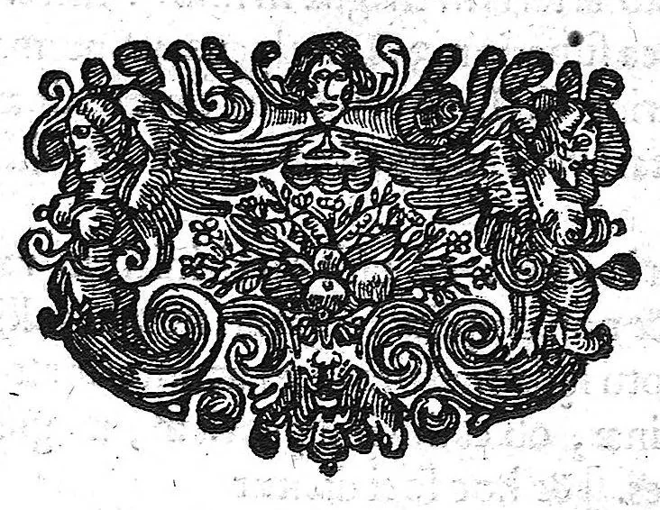An illustration from Anatomia, ex Caspari Bartholini..., 1666, leaf 469