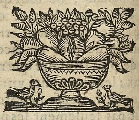 An illustration from Traité des eaux mineralles ou la nouvelle fontaine de Saint Gondon avec une pathologie chimique des fièvres..., 1676, leaf 255