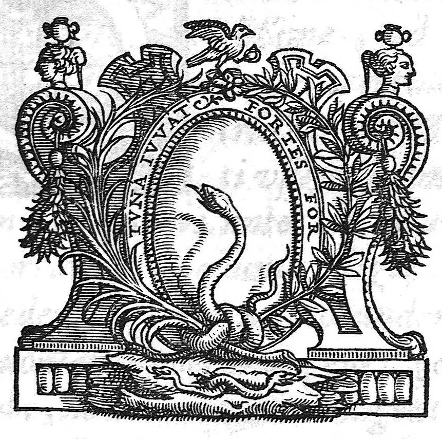An illustration from Libellus de dentibus, 1563, leaf 0