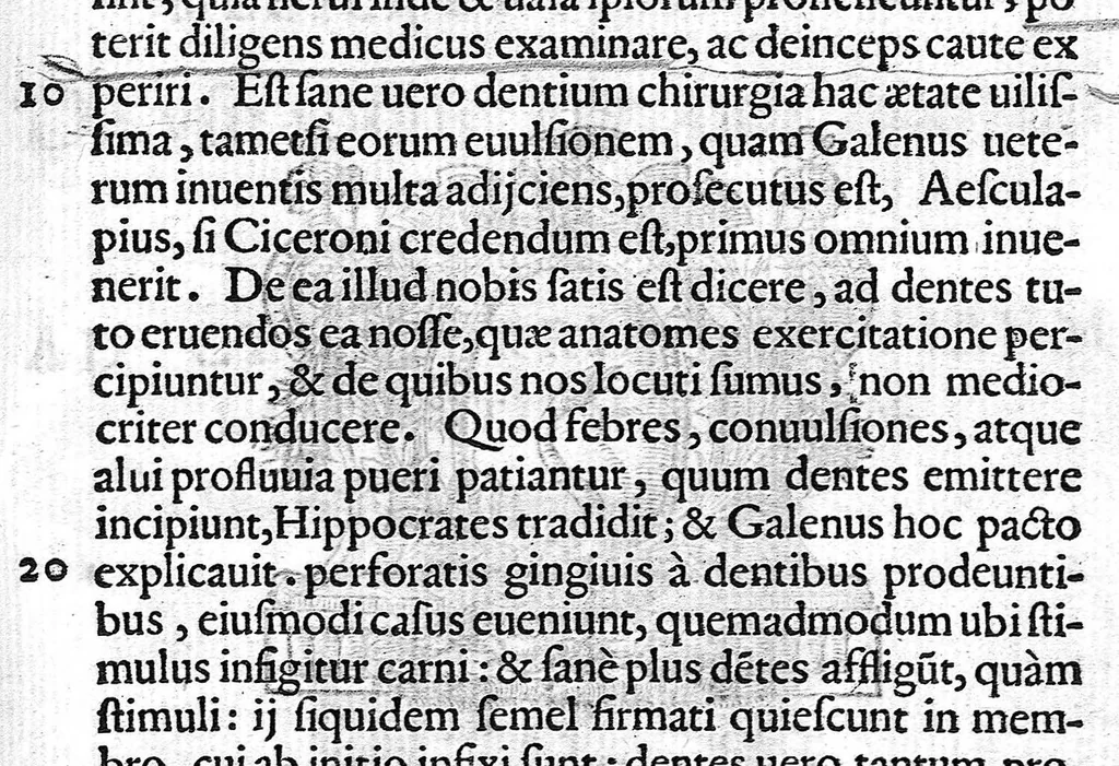 An illustration from Libellus de dentibus, 1563, leaf 102