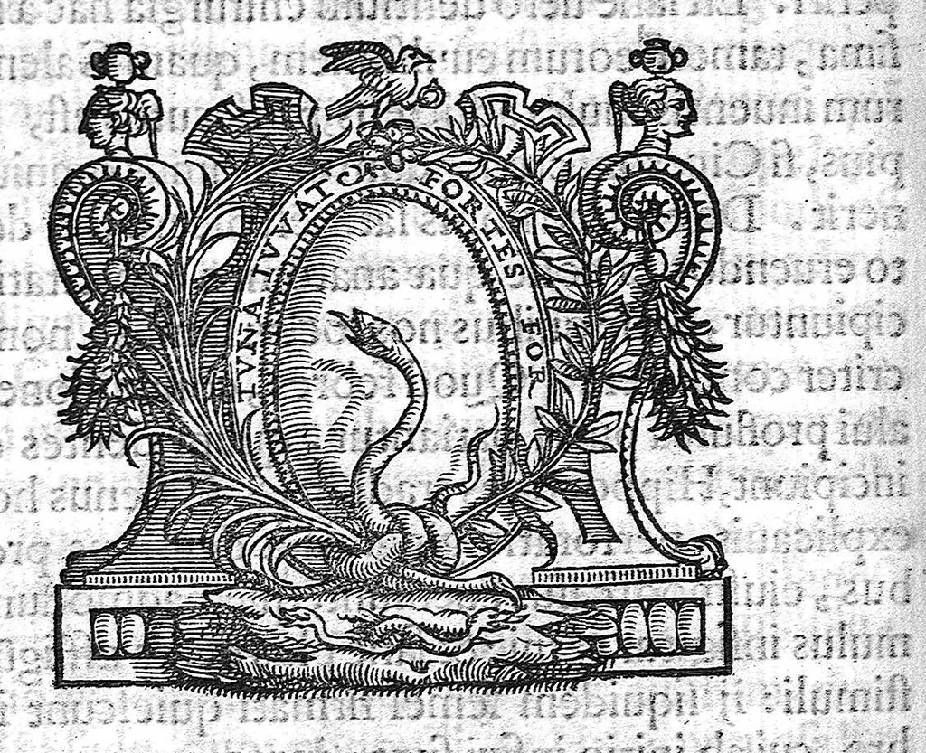An illustration from Libellus de dentibus, 1563, leaf 103