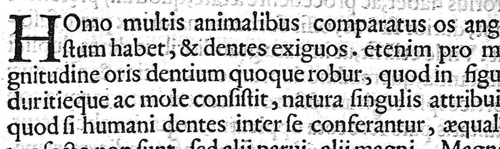 An illustration from Libellus de dentibus, 1563, leaf 15