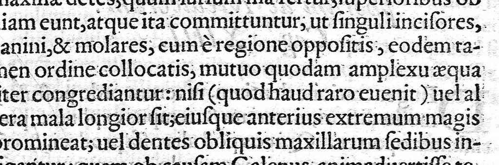 An illustration from Libellus de dentibus, 1563, leaf 46